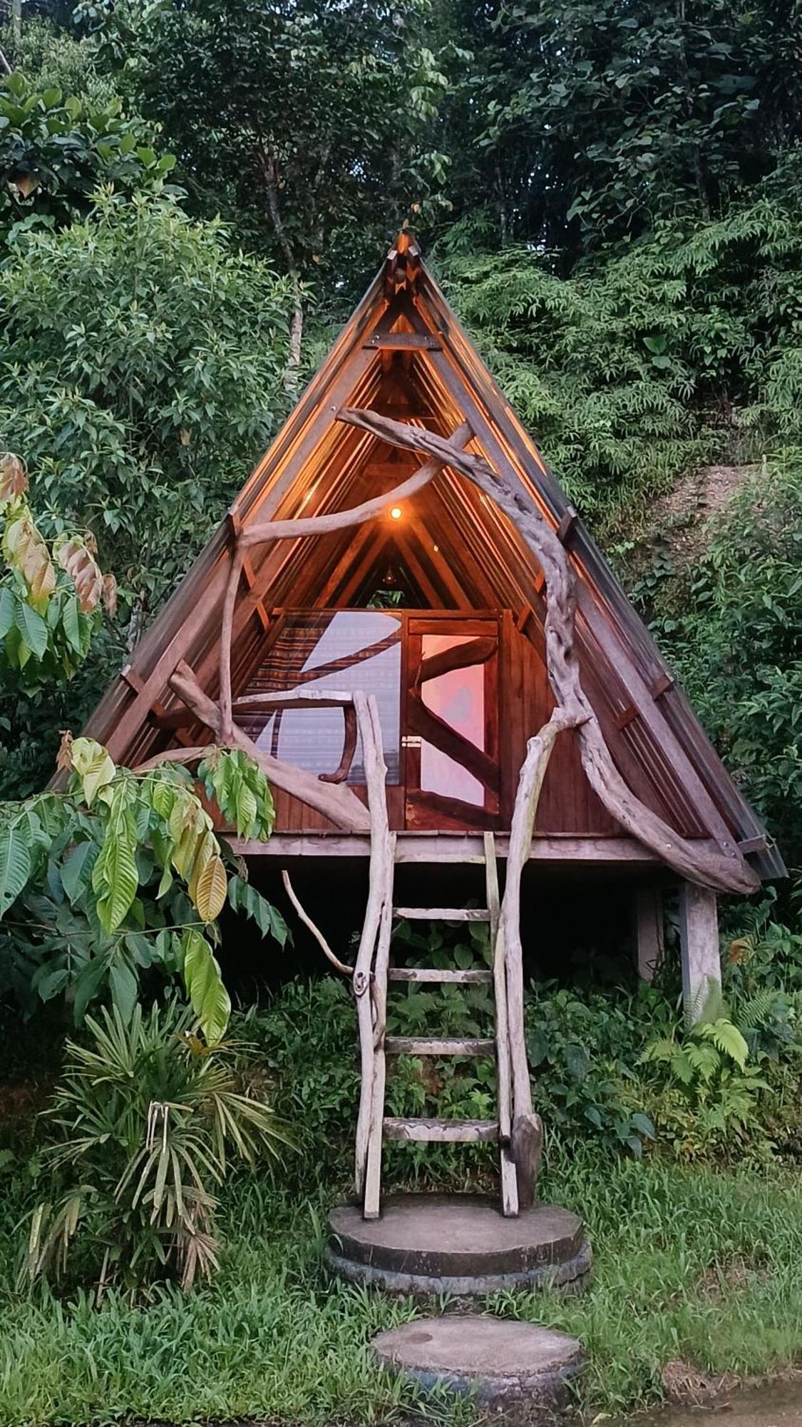 Jungle Roots Hotel เตนา ภายนอก รูปภาพ