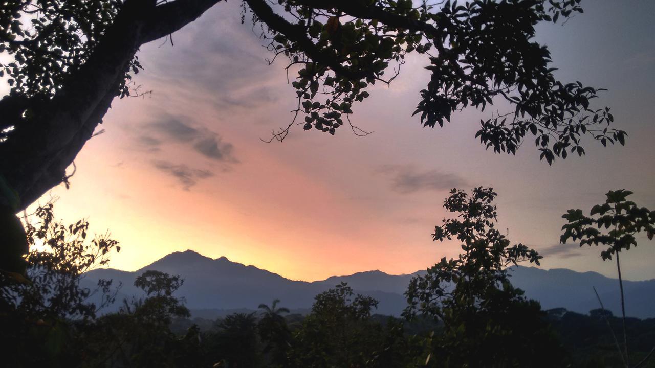 Jungle Roots Hotel เตนา ภายนอก รูปภาพ